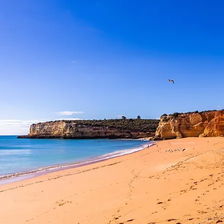 Casa Kiwi - Senhora Da Rocha, Algarve Apartment Porches  Exterior photo